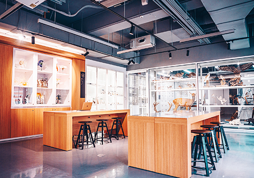 London Design Awards - Collection Classroom