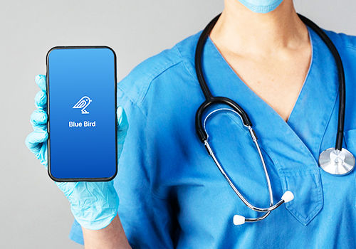 London Design Winner - International Institute of Information Technology, Hyderabad - Blue Bird