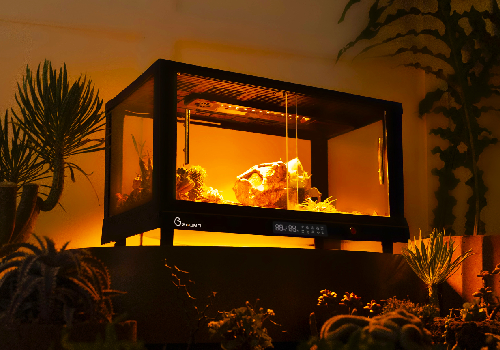 London Design Winner - EGUMA INC. - ALL-IN-ONE Pet Enclosure