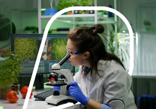 London Design Winner - Ergo Creative - Agri Tech