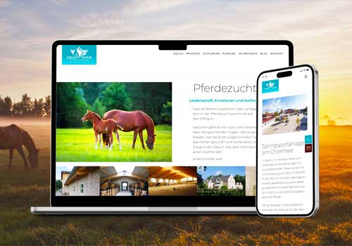 London Design Winner - Pilotfisch GmbH & Co. KG - Website for a planning office for equestrian facilities
