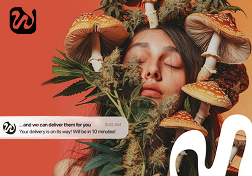 London Design Awards - Streamline Your Route with WayPro