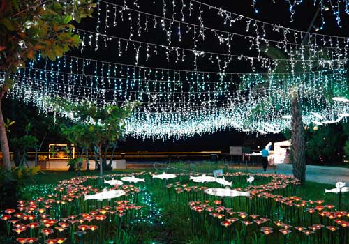 London Design Winner - CHUAN TSAI IDEA INDUSTRIAL CO., LTD. - The 2024 Penghu Wind Music and Light Festival