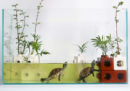 London Design Awards - Open boundary