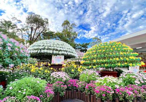 London Design Winner - Parks and Street Lights Office, Public Works Department, Taipei City Government - Flowers In Taipei