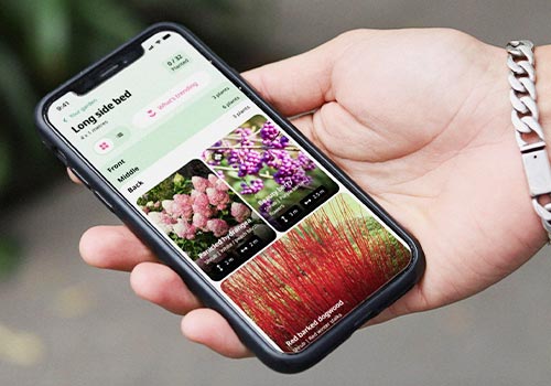 London Design Awards - AI-Powered Garden Design for Novice Gardeners