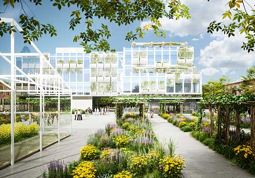 London Design Awards - What Cheer Flower Farm