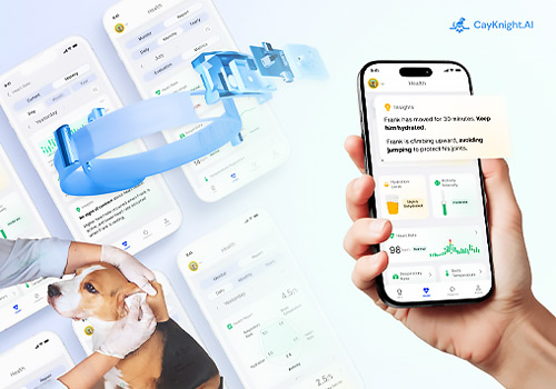 London Design Awards - CayKnight.AI: Smart Care for Dogs