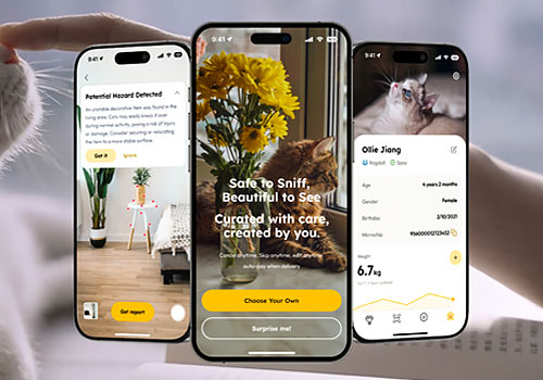 London Design Awards - Purrfect: A Platform for Cat-Safe Living and Floral Joy