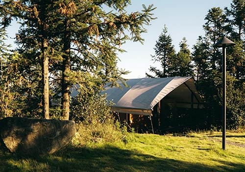 London Design Awards - Refuge-moganshan campsite design