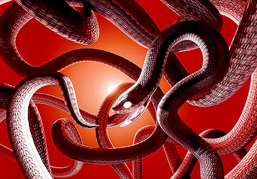 London Design Awards - OUROBOROS