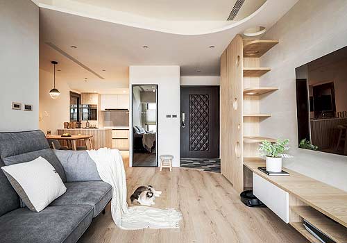 London Design Winner - Company - The Cat Haven Residence
