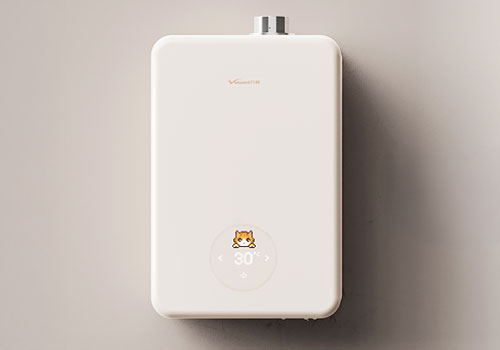 London Design Winner - GUANGDONG VANWARD NEW ELECTRIC Co., Ltd. - Cute Pet-themed Mini Gas Water Heater