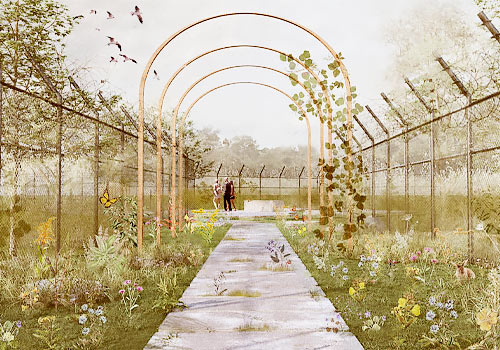 London Design Awards - Reimagining South Bronx through Urban Entropy Rewilding
